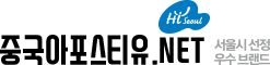 중국아포스티유.com